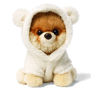 cute-dog